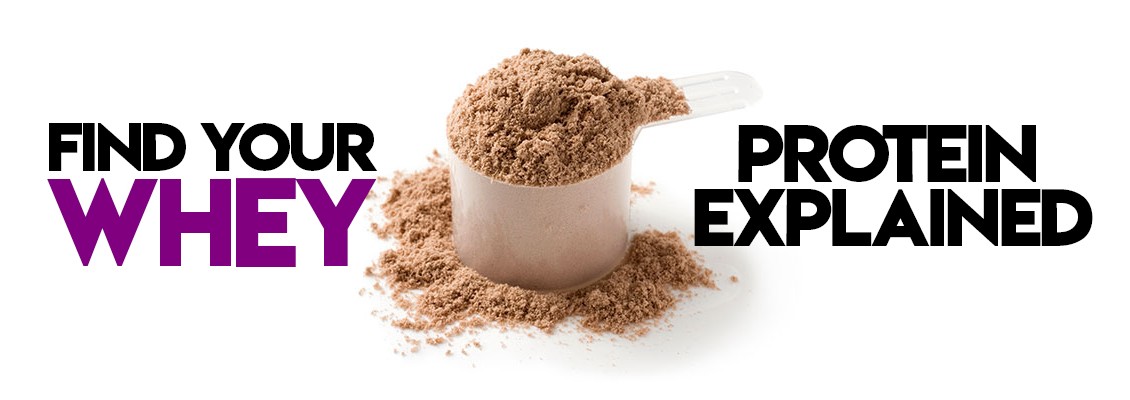 FIND YOUR WHEY - PROTEIN EXPLAINED FIND YOUR WHEY - PROTEIN EXPLAINED